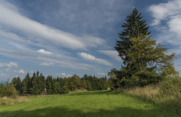 Fototapeta na wymiar Road and trees near Kozakov hill
