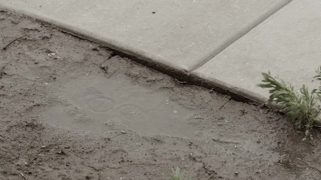 Raindrops hit a puddle by sidewalk