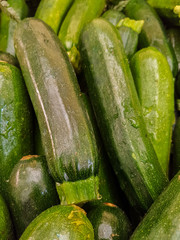 Zucchini