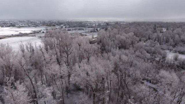 A high aerial shot of a beautiful snowy river and tall trees
