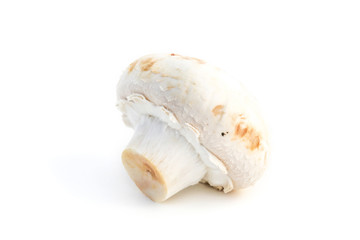 Champignons