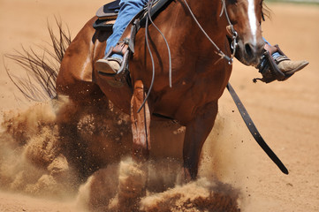 The front view of a rider on a horseback running ahead and stopping the horse in the dust.