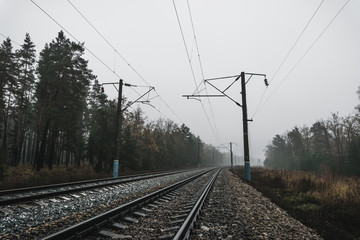 Railway in the forest on a foggy autumn day