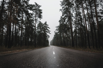 Fototapeta premium Country road through autumn forest in fog