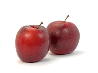 Weihnachtsäpfel, Äpfel, Malus