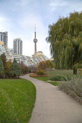 Toronto Skyline