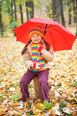 girl child in autumn forest with umbrella, beautiful landscape in fall season with yellow leaves
