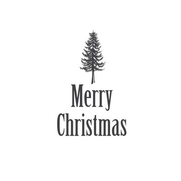 Simple Marry Christmas greeting card illustration with pine tree