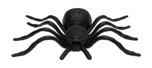 Plastic toy spider front view isolated on a white background.