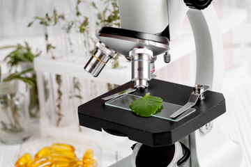 test plant samples on microscope slide close up