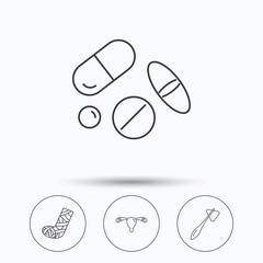 Hammer, broken leg and medical pills icons. Uterus and ovary linear sign. Linear icons in circle buttons. Flat web symbols. Vector