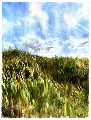 Watercolor Meadow landscape. Nature illustration for design or background