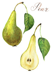 Watercolor pear set. Sweet green fruit food illustration isolated on white background. For design, prints or background