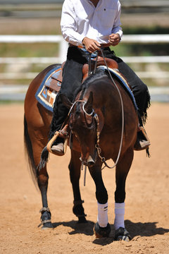 The front view of a rider on a horseback stopping  in the dust.