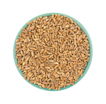 Farro organic wheat in a bowl isolated on a white background.