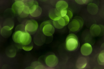 Bokeh blurred green natural background