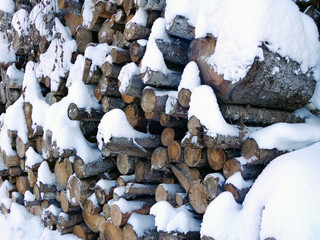 Snow on the logs in the wood depot