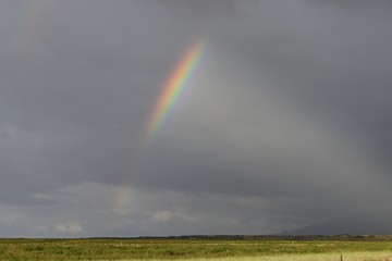 Regenbogen über dem Hochland (Island)