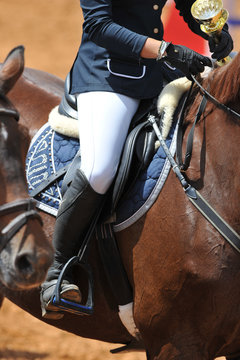 The close-up view of a rider on a horseback 