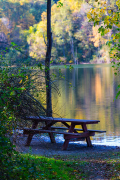 Picnic Table Near The Lake