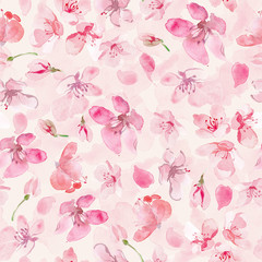 sakura flower background