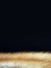 Beige fur texture white linters on a black background