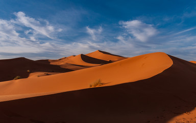 Fototapeta na wymiar Abendstimmung über den Dünen der Sahara bei Merzouga (Erg Chebbi); Marokko