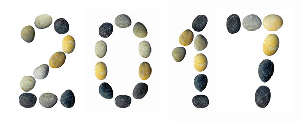 Symbols 2017 New Year's.