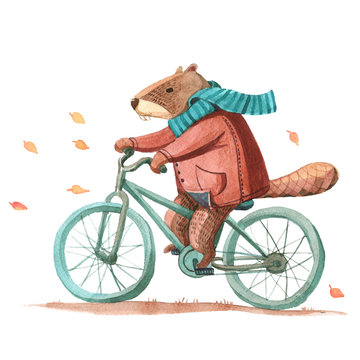 Watercolor beaver in coat and scarf riding a bicycle