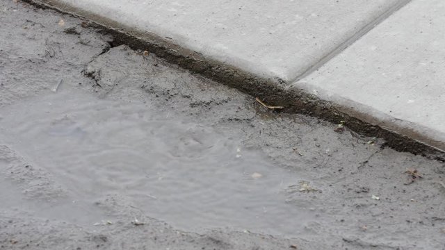Raindrops in a puddle by sidewalk