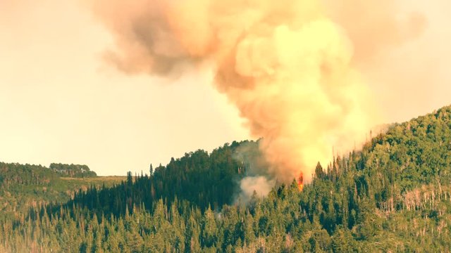 A huge mountain forest fire with smoke on a summer day