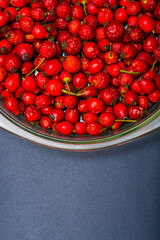 top view of a red rose hips