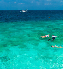 Tourists involved in snorkeling in shallow water near tropical i