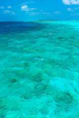 Fototapeta na wymiar Tourists involved in snorkeling in shallow water near tropical i