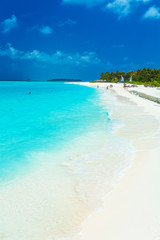 The idyllic scene of tropical beach, Maldives