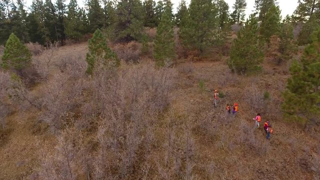 Aerial dolly shot of family walking through the woods hunting