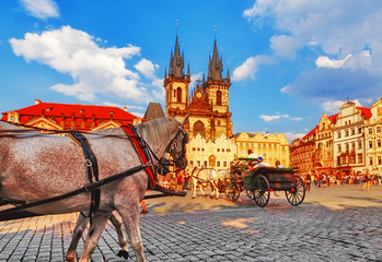 Naklejka na ściany i meble Prague, classical view on central square with white horses on foreground. Czech Republic.
