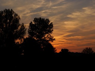 brilliant  and multicolor sky of sunset