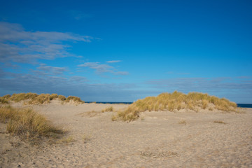 Fototapeta na wymiar Strand auf Sylt