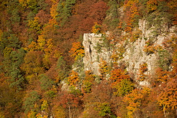 Autumn rocks