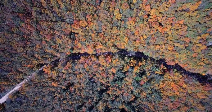 Aerial, Beautiful Autumn Colors In Velebit, Croatia - Graded and stabilized version..Watch also for the native material, straight out of the camera.