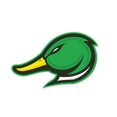 Duck head mascot
