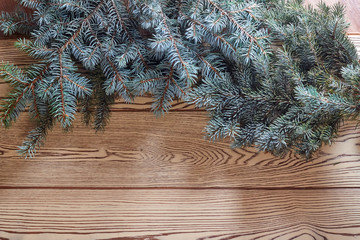 background with spruce
