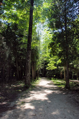 Peaceful path in Pennisula State Park, Door County WI