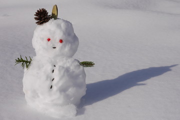 A little snowman in snow field