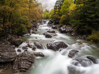 River flowing through the forest in the mountains