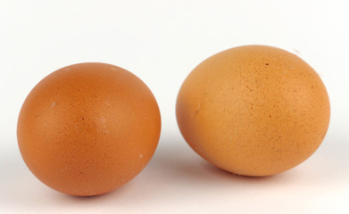 Eggs isolated on white background