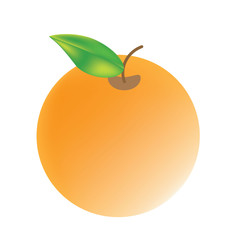 orange vector icon cartoon style isolated on white background. 
