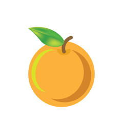 orange vector icon cartoon style isolated on white background. 
