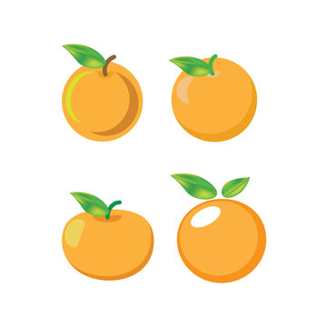 orange vector icon cartoon style isolated on white background. 
